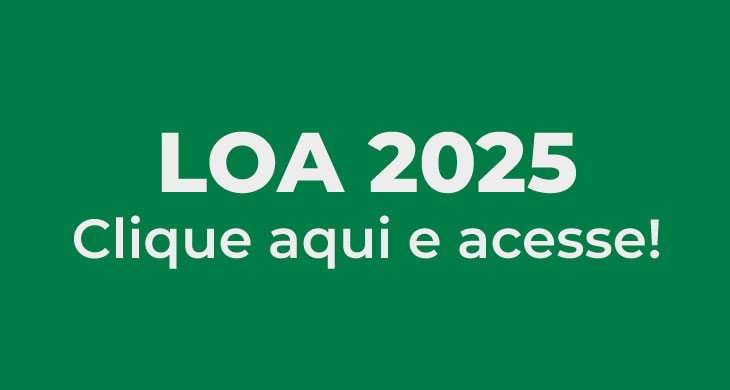 FICHA DE SUGESTÕES PARA ELABORAÇÃO DA LOA PARA O ANO DE 2025